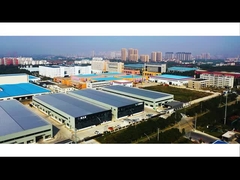 Компания видео